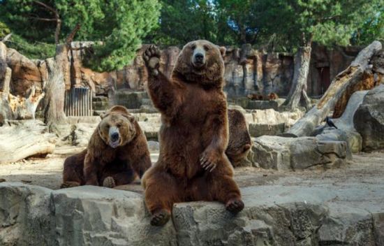 星空真人_南京弘阳广场项目历经三年改造后全新亮相(图1) 星空真人