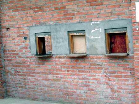 星空真人集团官网