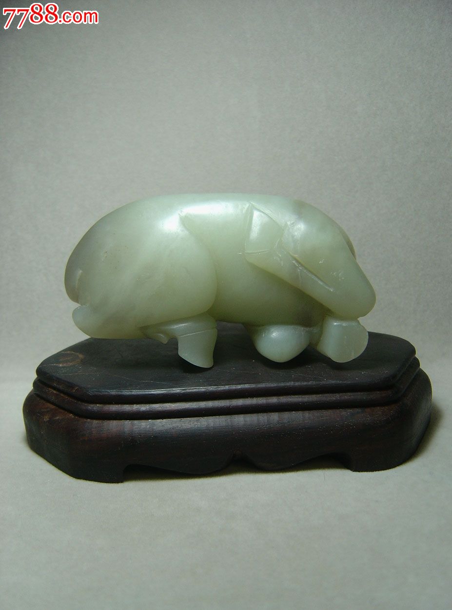 星空真人集团官网