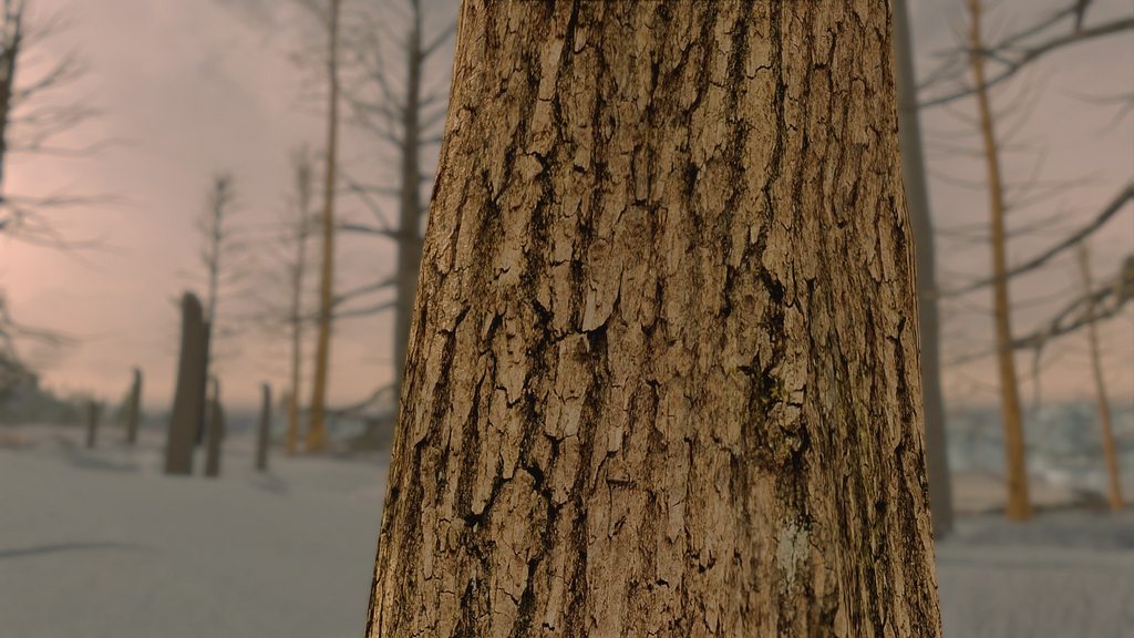 【星空真人】LOL2017年多兰盾bug解决方法 多兰盾bug是什么(图3) 星空真人