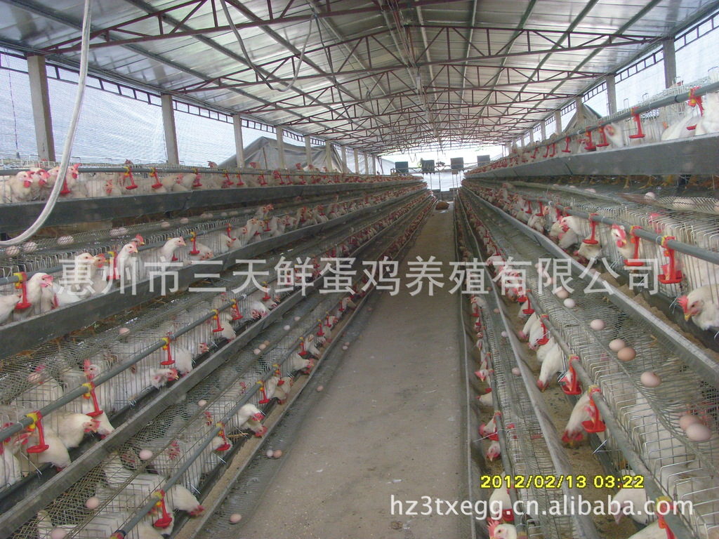 星空真人_2019DOTA2国际邀请赛小组赛结束 20日开启主赛事(图2) 星空真人集团官网