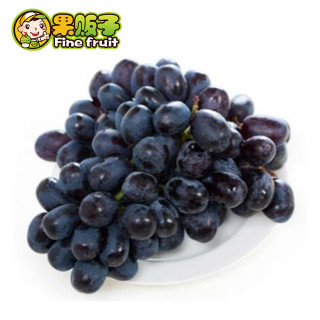 星空真人集团官网