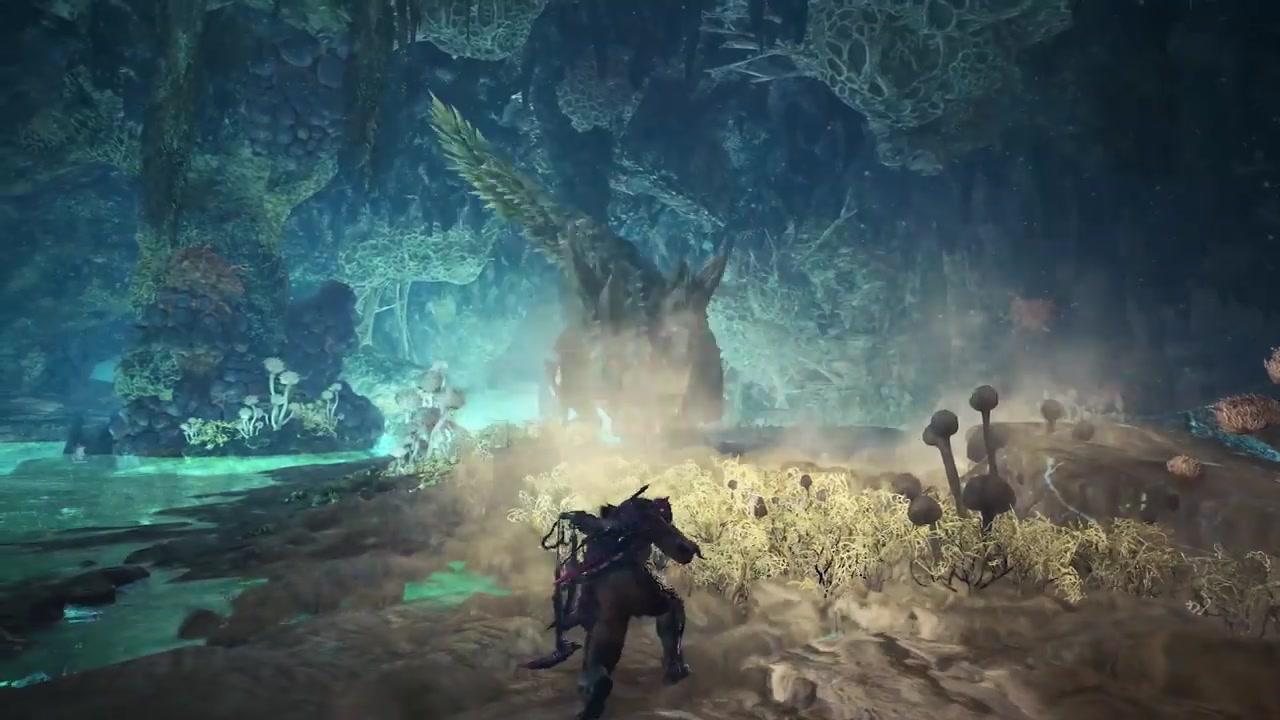 星空真人集团官网