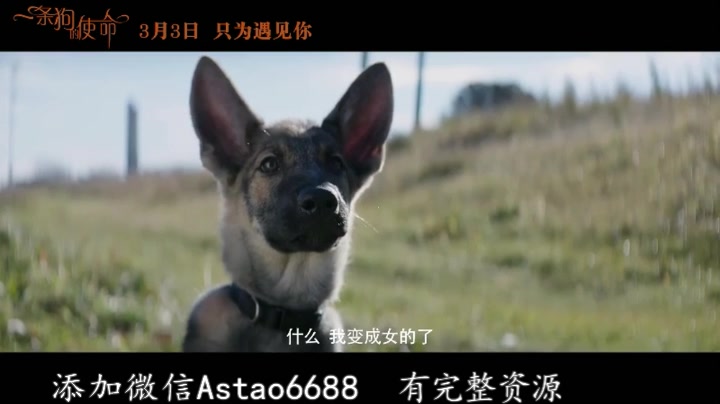 市疾控中心领导一行看望许昌学院社会实践活动成员【星空真人集团官网】(图1) 星空真人