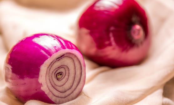 星空真人集团官网