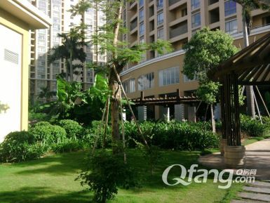 星空真人集团官网