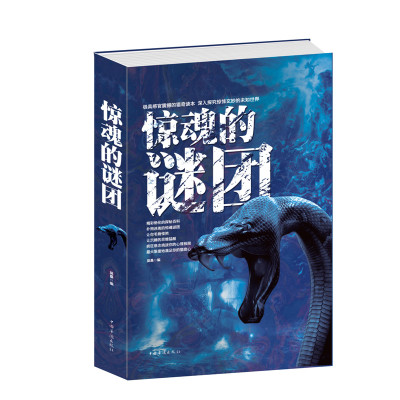 星空真人集团官网