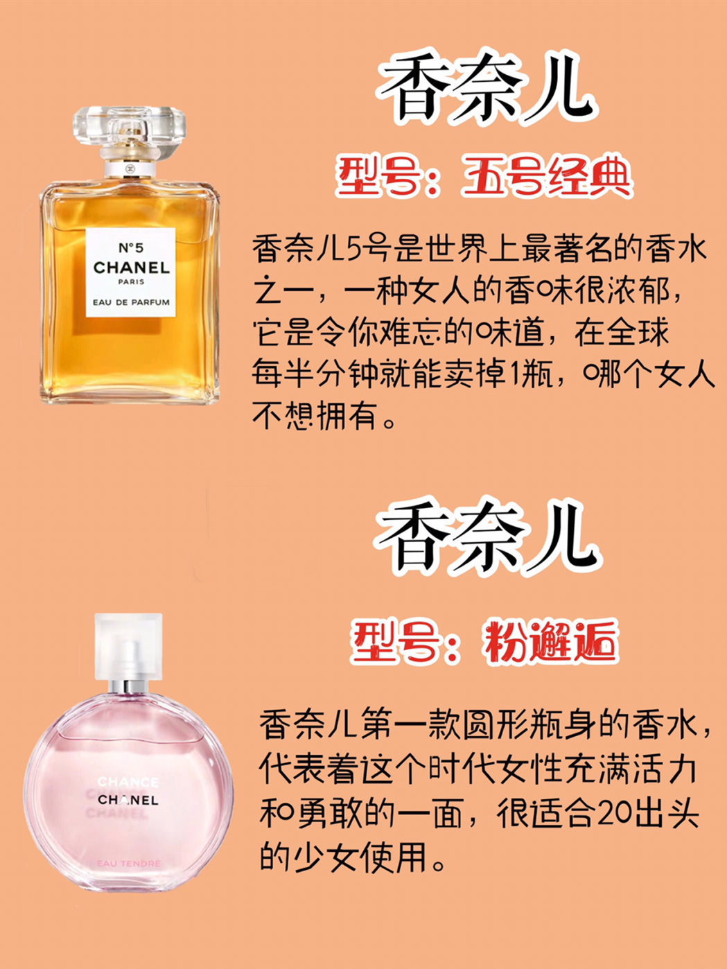 星空真人集团官网