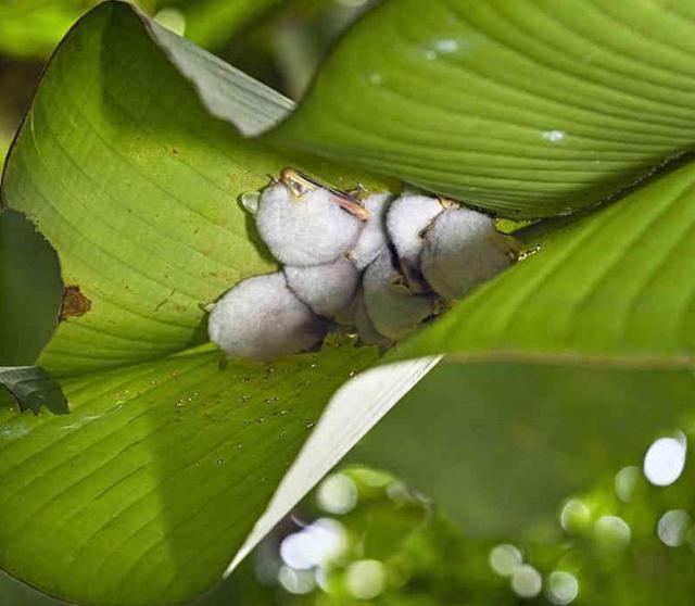 UZI女友:小狗与小明是互相成就了彼此|星空真人(图1) 星空真人