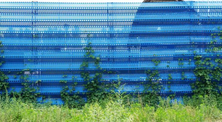 星空真人|中原工学院小葫芦扛起脱贫大担当(图2) 星空真人