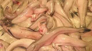 河大举办全国青少年校园足球师资国家级专项培训骨干教师培训班‘星空真人集团官网’(图4) 星空真人集团官网