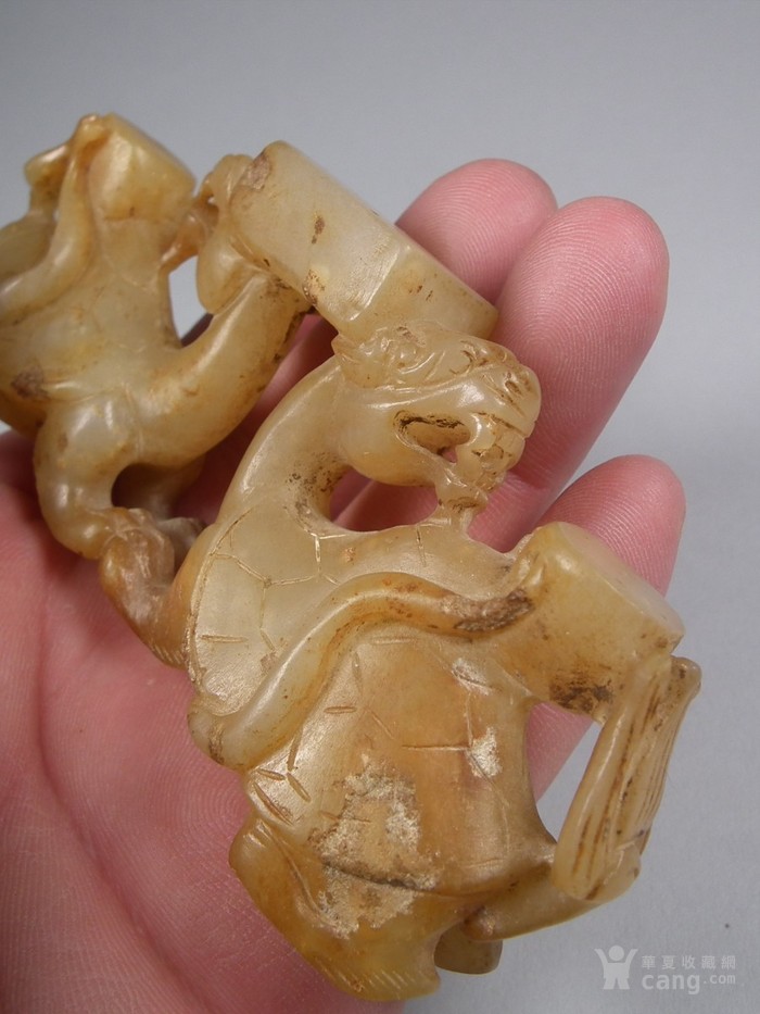 信阳农林学院啦啦操队在全国啦啦操联赛(南通站)中获三项冠军【星空真人集团官网】(图3) 星空真人集团官网