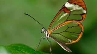 信阳农林学院啦啦操队在全国啦啦操联赛(南通站)中获三项冠军【星空真人集团官网】(图2) 星空真人