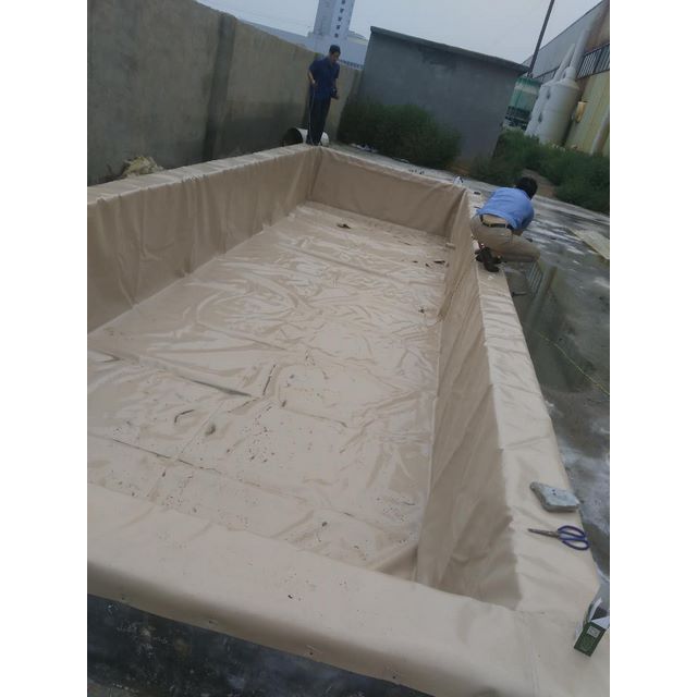 星空真人_2分钟带你全方位相识(自考学位)(图1) 星空真人