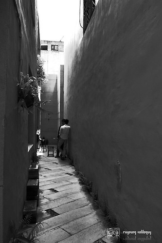 星空真人集团官网