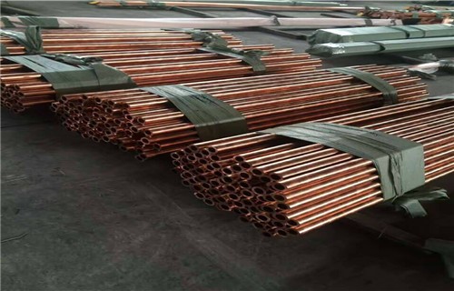 星空真人集团官网