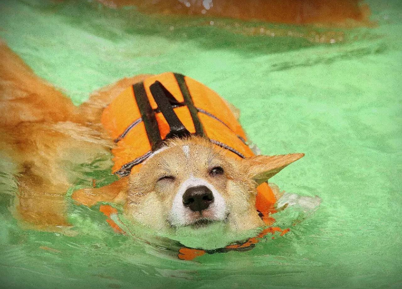 星空真人集团官网