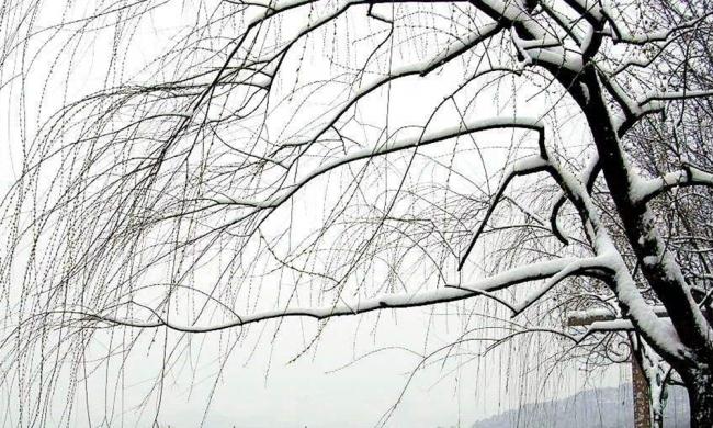 星空真人集团官网