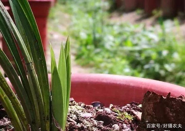 星空真人集团官网