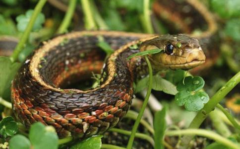 星空真人集团官网