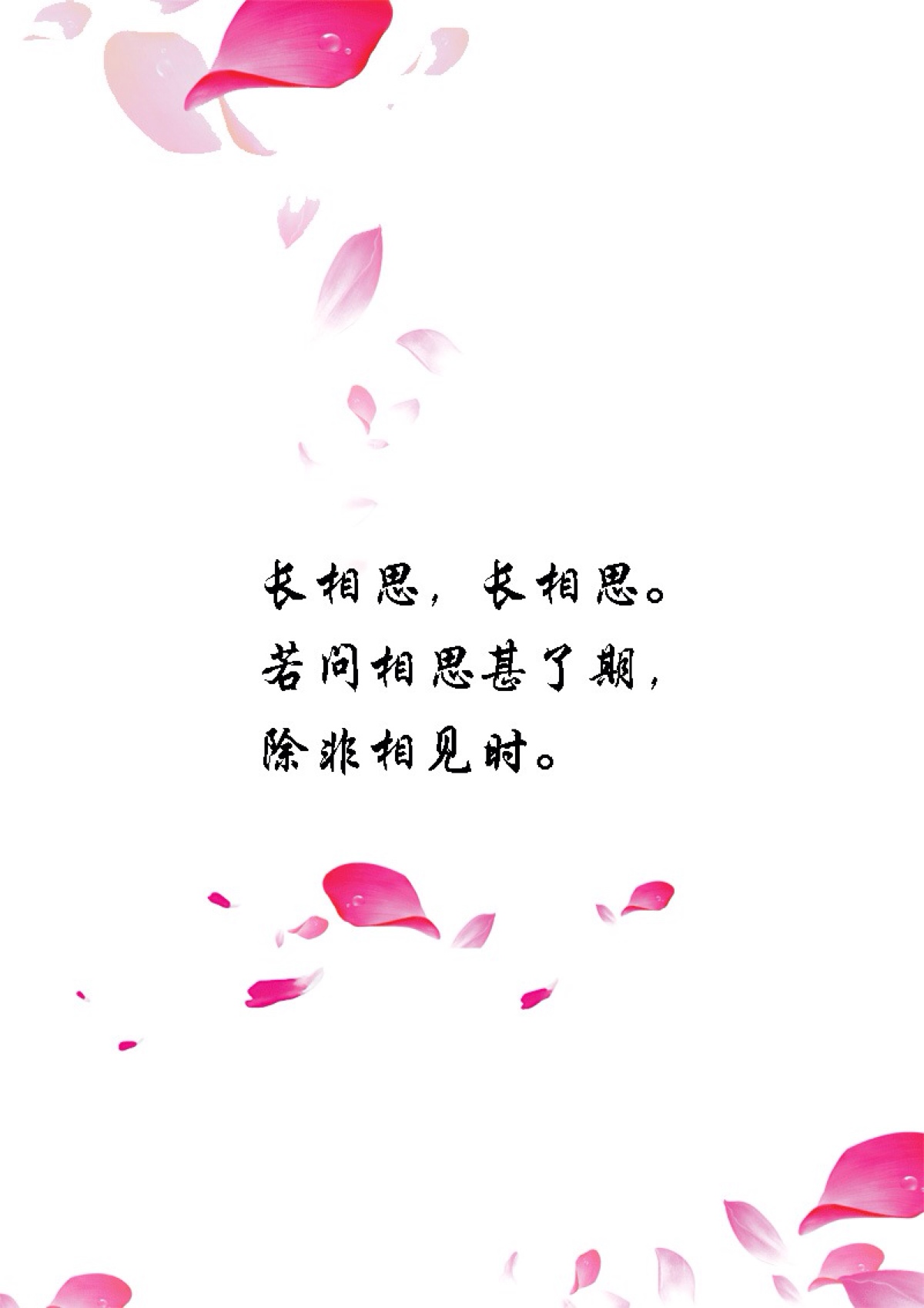 星空真人集团官网