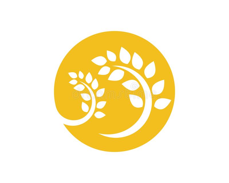 星空真人