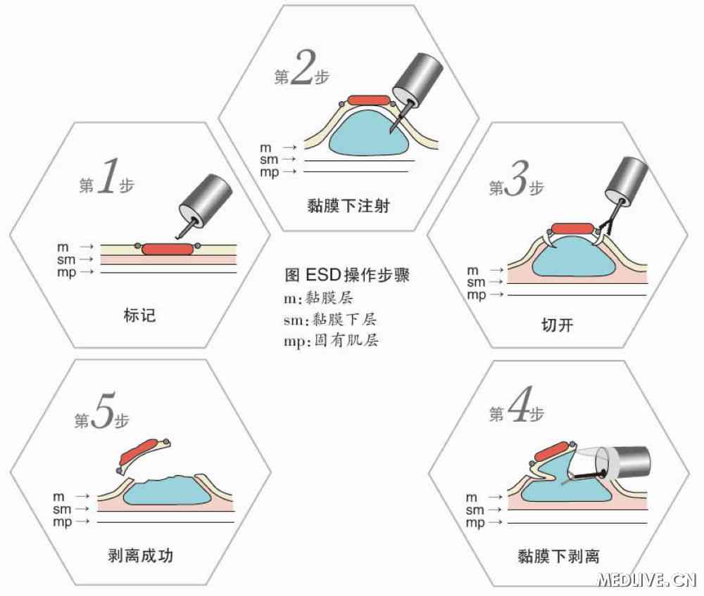星空真人