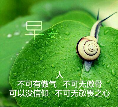 星空真人
